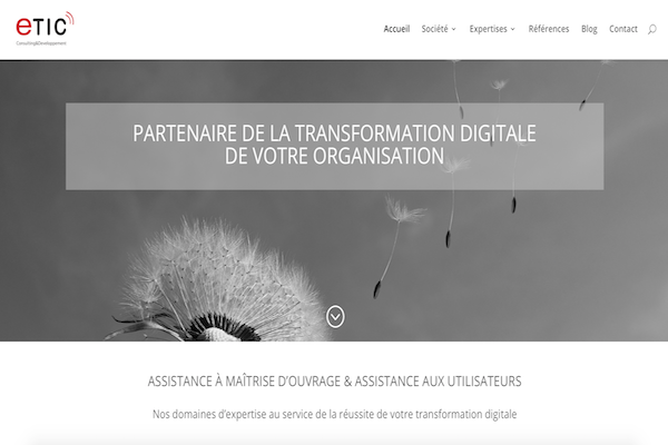 Site de la société ETIC-Consulting & Developpement