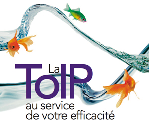 ToIP
